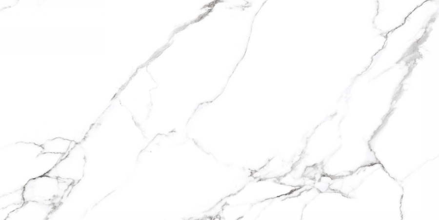 Mckinley Polished CV20304