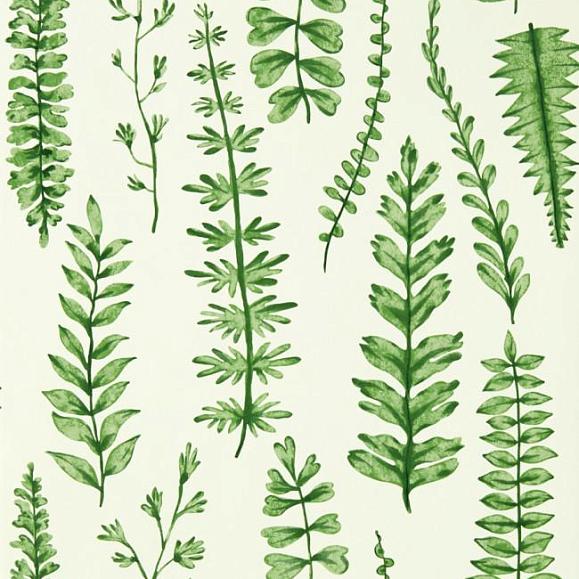 Обои Scion 112798 Ferns Juniper