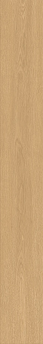 ATLAS CONCORDE ENTICE Pale Oak Elegant Matt