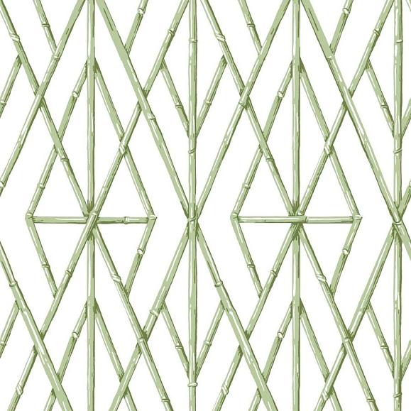 Обои York CV4451 Riviera Bamboo Trellis Fern