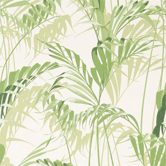Обои Sanderson 216643 Palm House Botanical Green