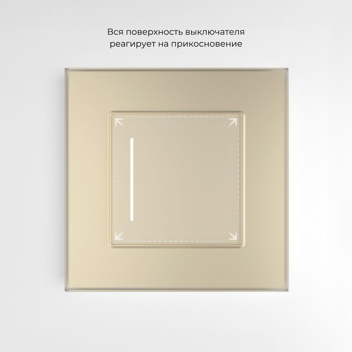 Сенсорный выключатель одноклавишный с подсветкой Werkel 4690389198014 W4512011 a063603