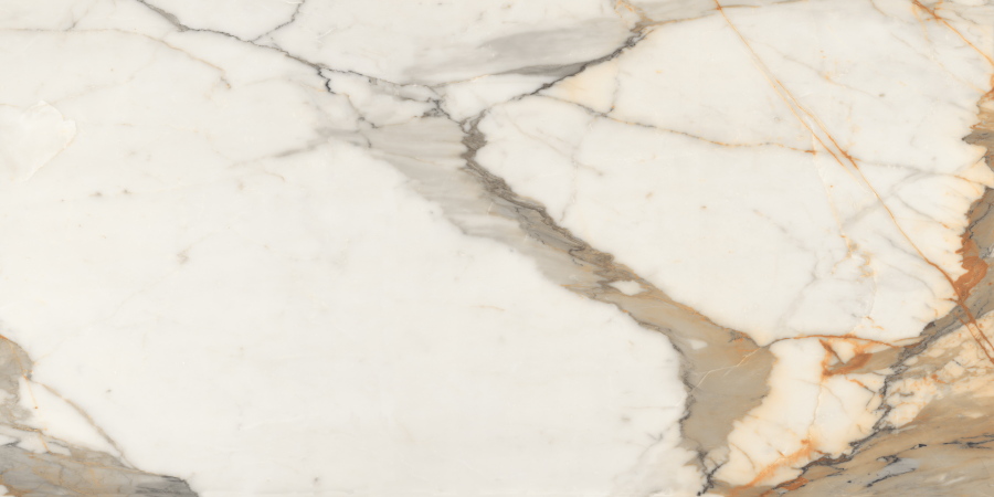 Breccia Polished CV20305
