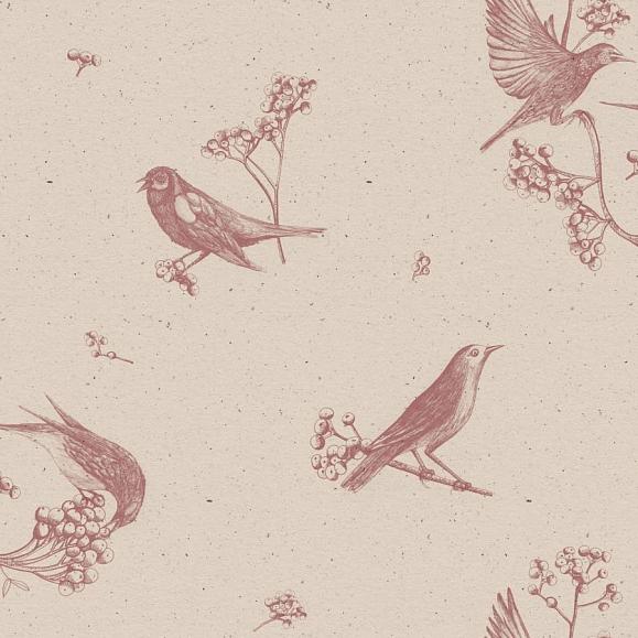 Обои Coordonne 9500071V Sweet Birds Rose