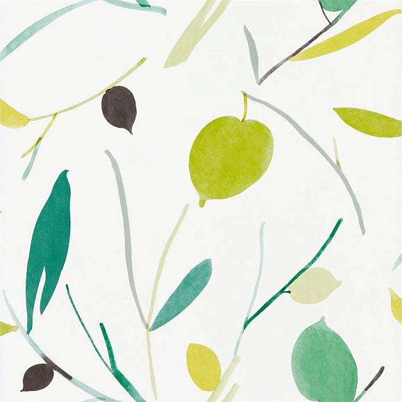 Обои Scion 111994 Oxalis Kiwi/Juniper