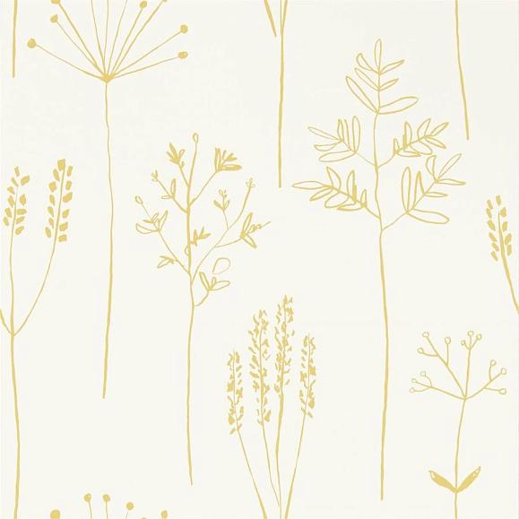 Обои Scion 112021 Stipa Hone