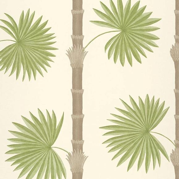Обои Paint & Paper Library 0360HASANDZ Hardy Palm Sand III