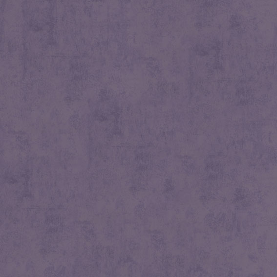 B1181107