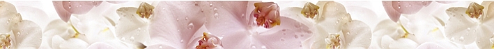 Porto Flowers listwa Бордюр 6х60