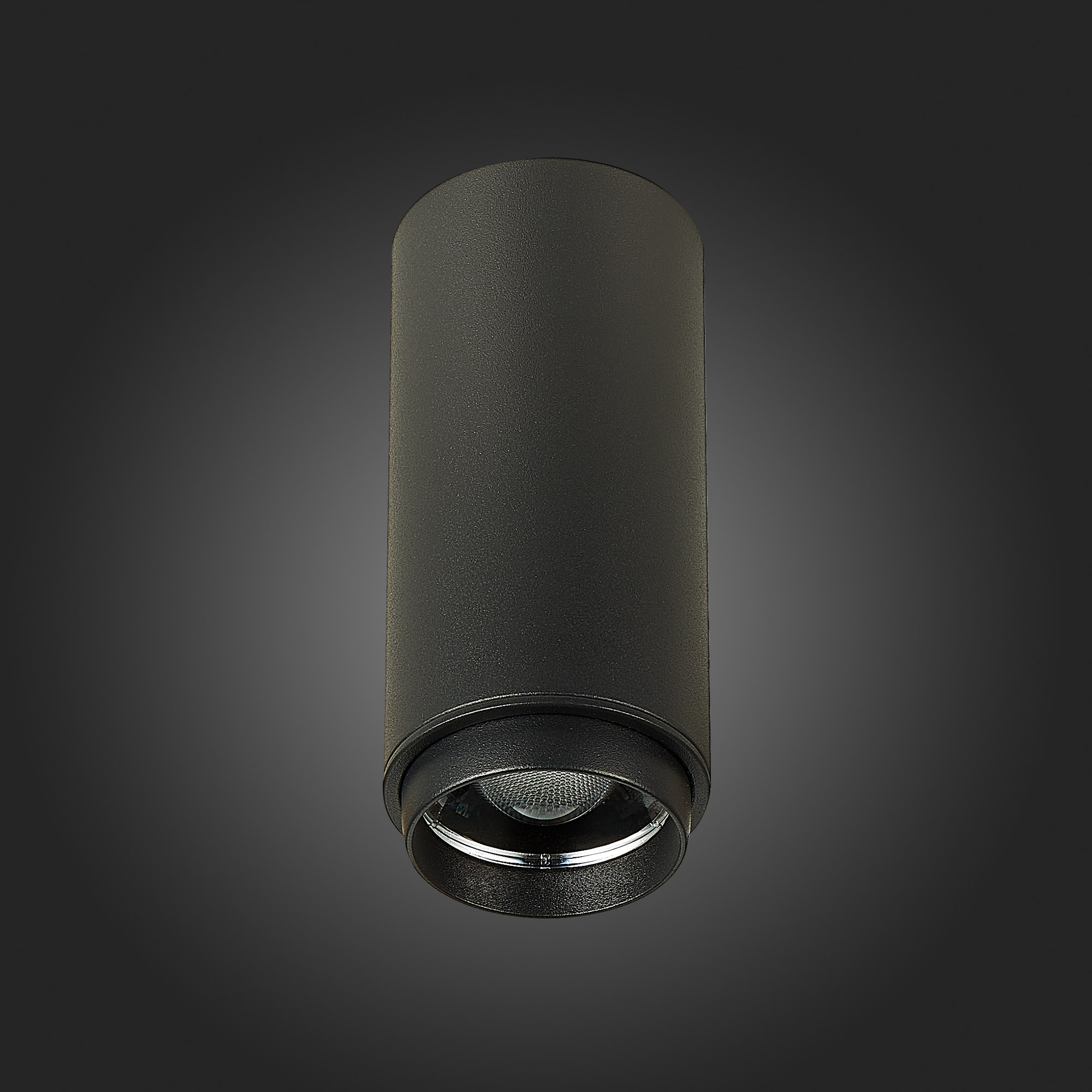 Потолочный светильник ST Luce Zoom ST600.442.10