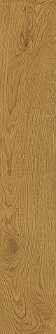 Exence Amber 20x120