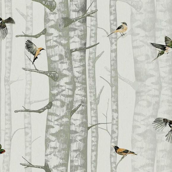 Обои Coordonne 9500042N Birch Trees Silvester