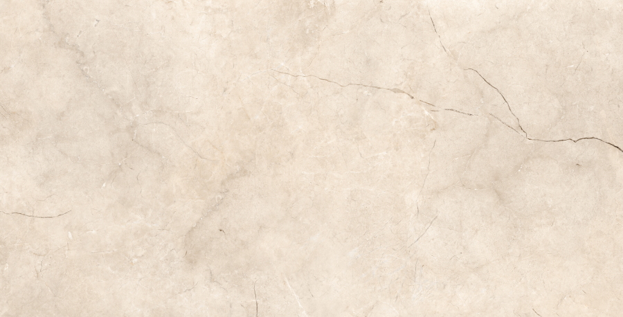 Fushion Beige Polished N12027