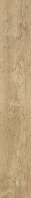 ATLAS CONCORDE AXI Golden Oak