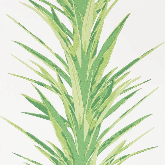 Обои Sanderson 216649 Yucca Botanical Green