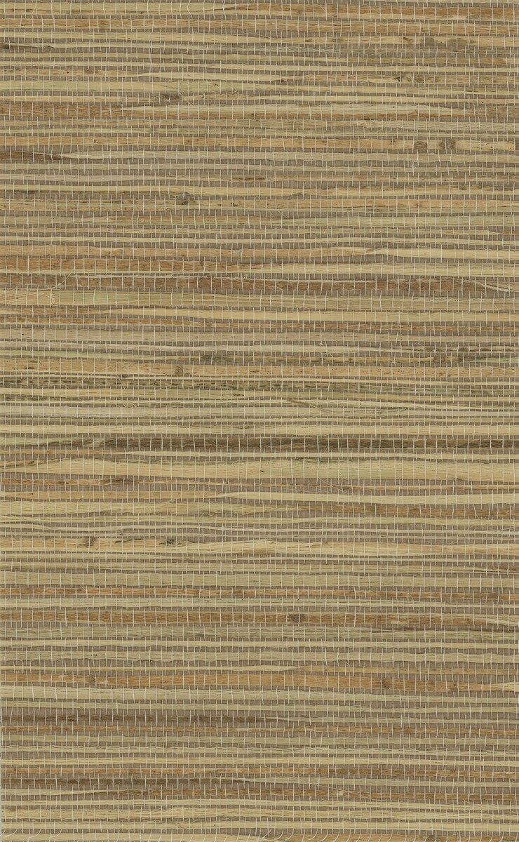 RH6009