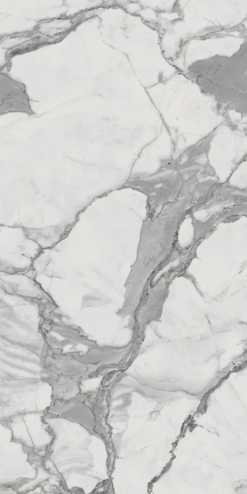 CHA.EVO STATUARIO 30X60 CER