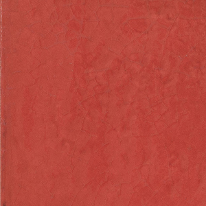 Rosso (20х20)