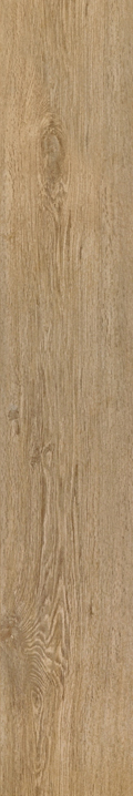 Root Miele
