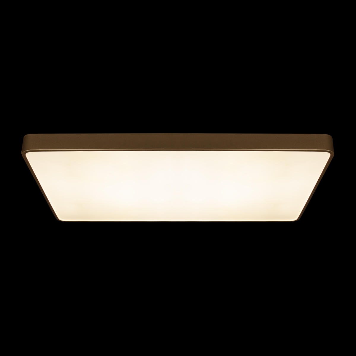 Потолочный светильник Loft IT Flims 10228/E