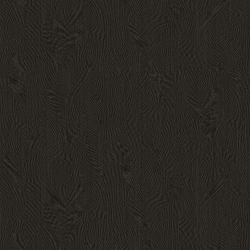 Z54548