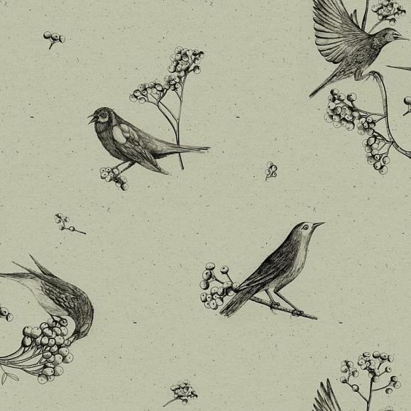 Обои Coordonne 9500073N Sweet Birds Matcha