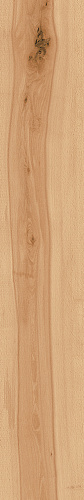 ATLAS CONCORDE LOG CANSEI Murano Grip