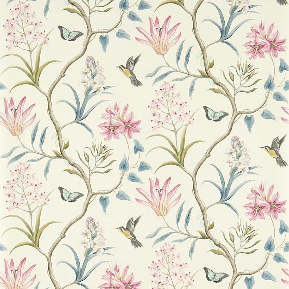 Обои Sanderson 213386 Clementine Dusky Pink