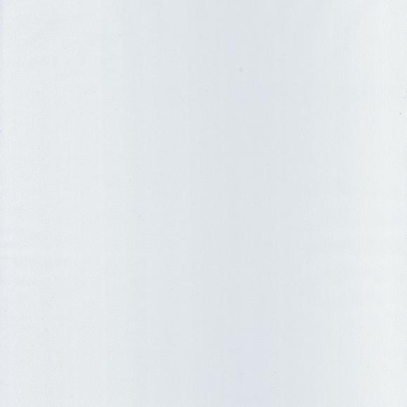 Обои Caselio LBY64520000 Life Blanc
