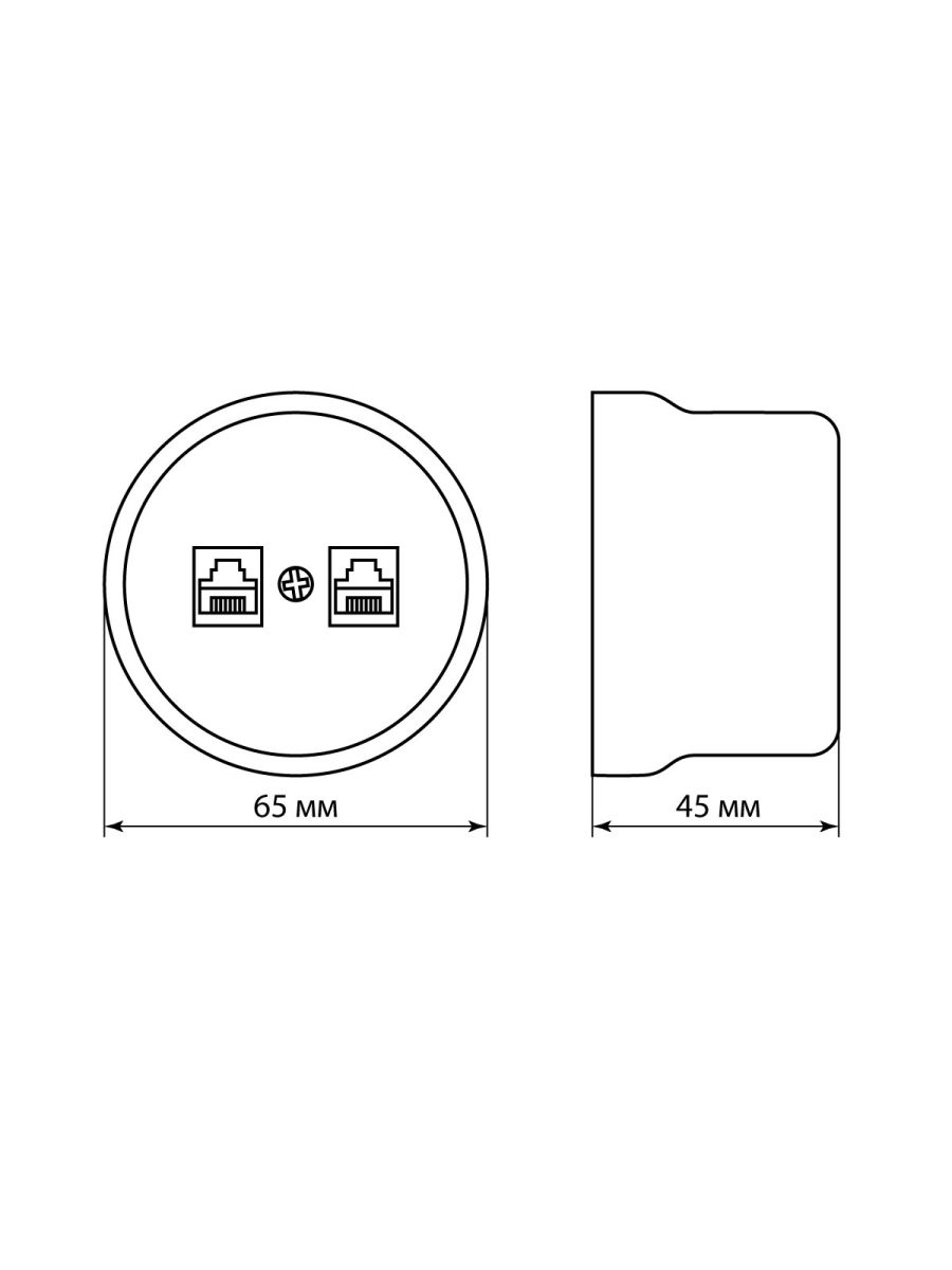 Розетка двойная компьютерная RJ45 сл. кость Болонь TDM Electric SQ1820-0351