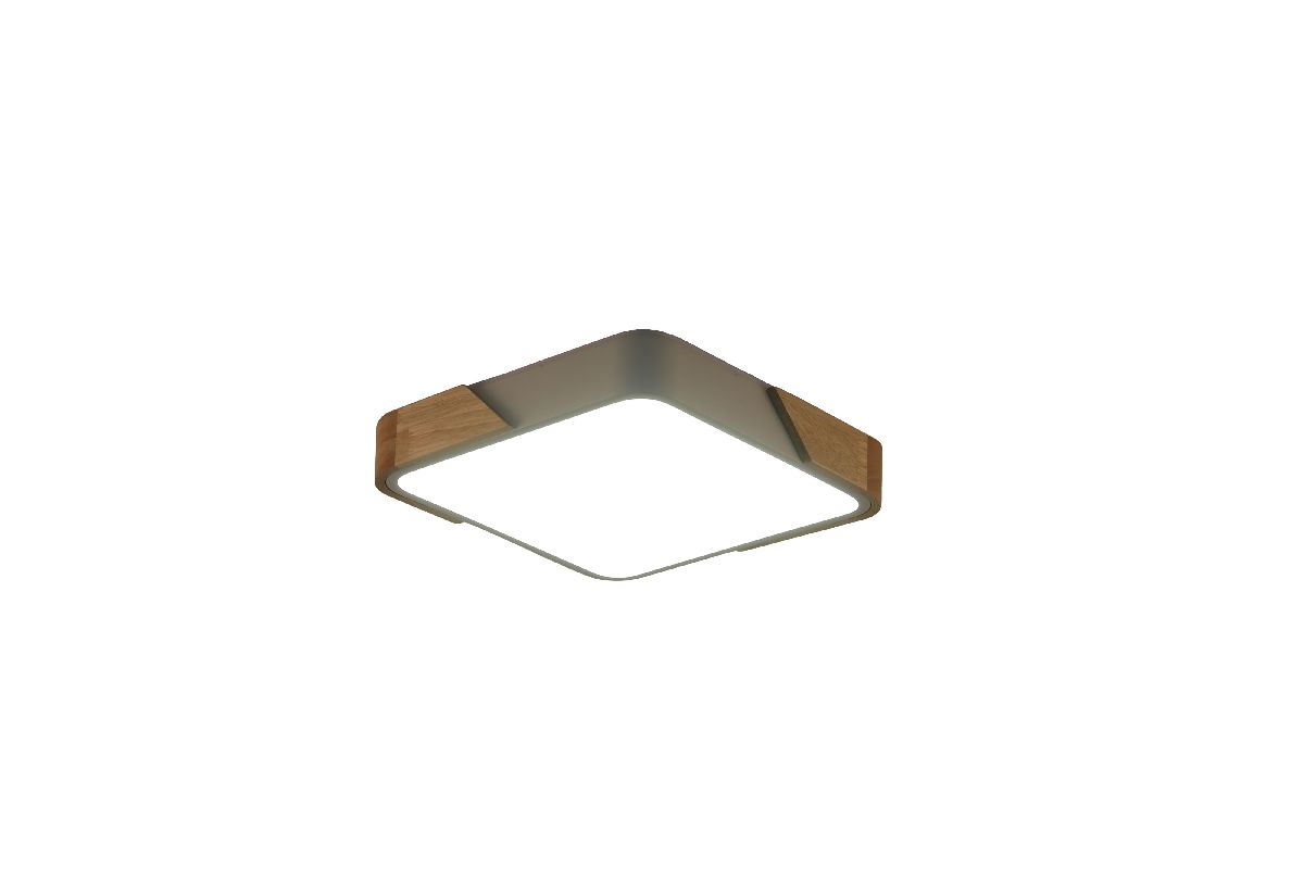 Потолочный светильник Zortes Alberro ZRS.01285.60