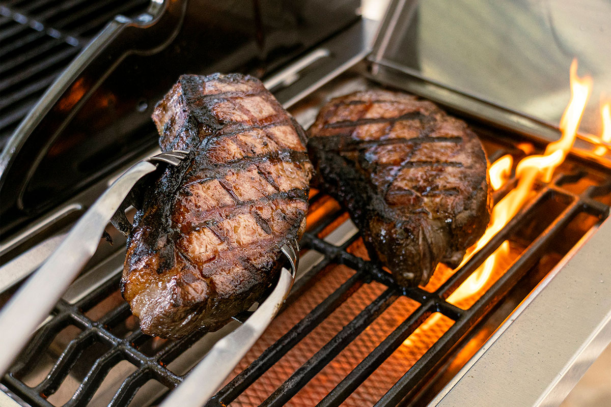 Газовый гриль Nexgrill Prime BISON 5B