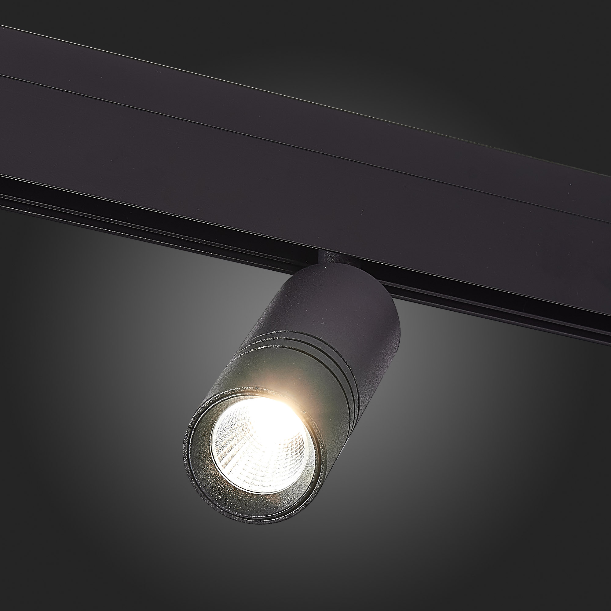 Трековый светильник ST Luce Lemmi ST365.436.12