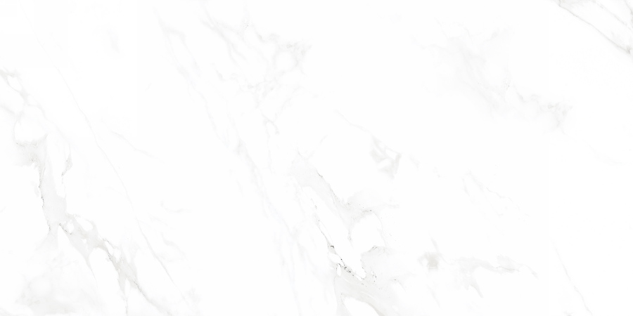 Venus Bianco Polished N12003