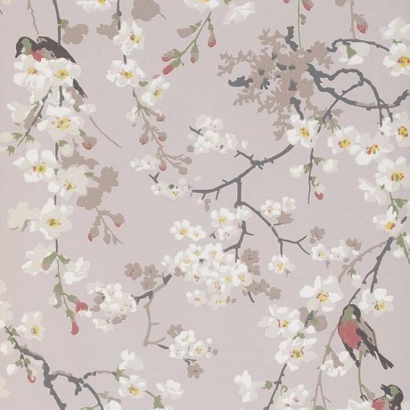 Обои Little Greene 0260MAGREYZ Massingberd Blossom Grey