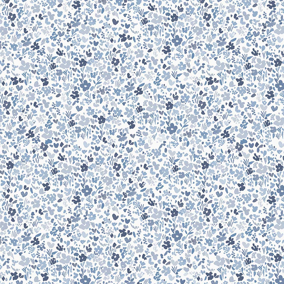G56668