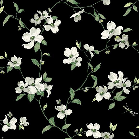 Обои York BL1764 Dogwood Black