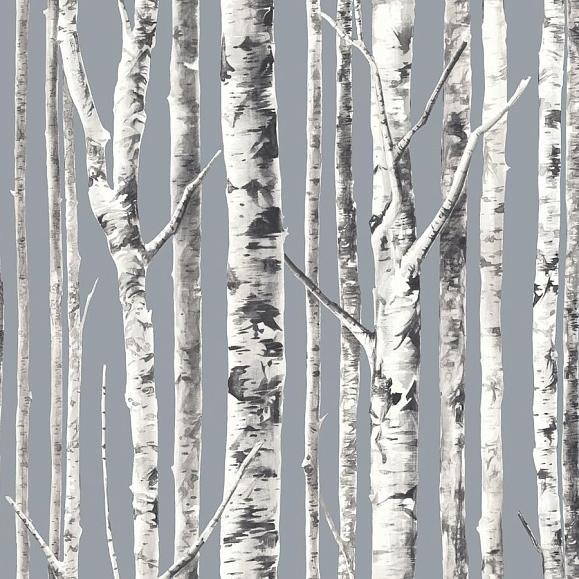 Обои Mayflower FJ080114 Birch