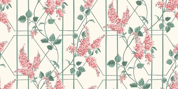 Обои Cole & Son 115/5012 Wisteria