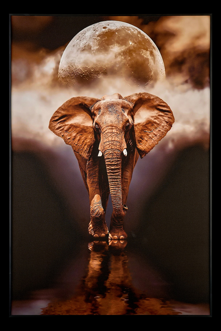 Картина Elephant TD105