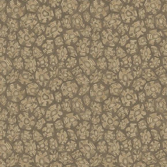 Обои Cole & Son 119/4020 Savanna Shell