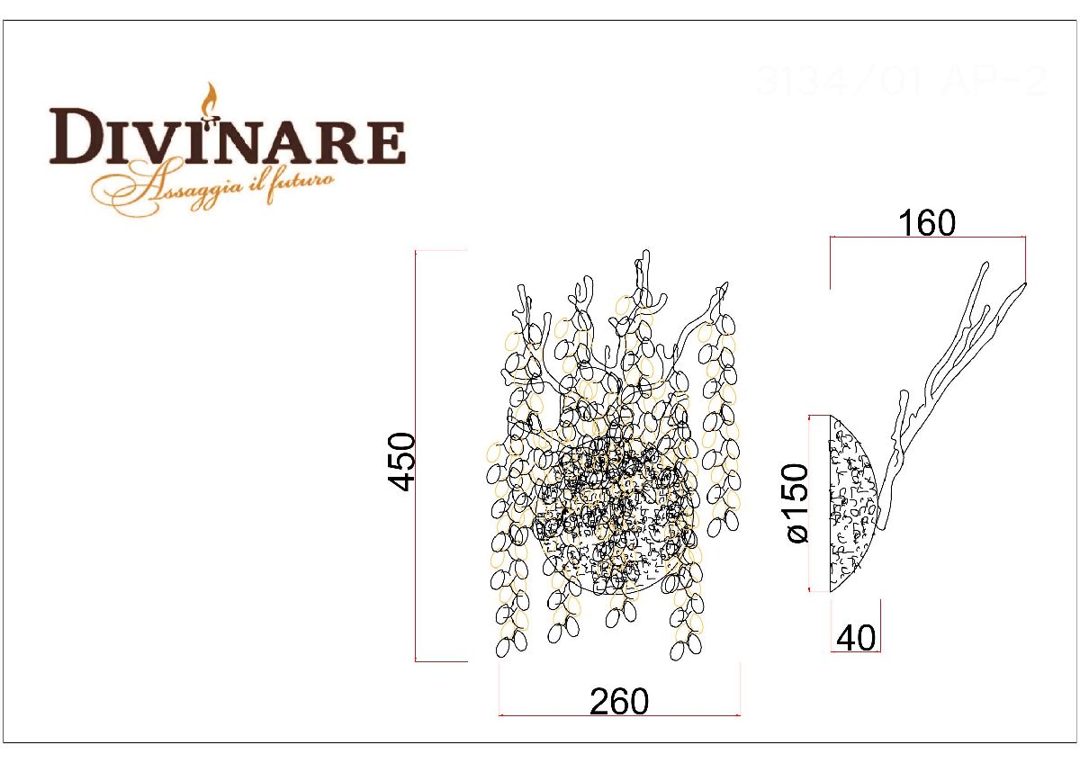 Настенный светильник Divinare Salice 3134/01 AP-2