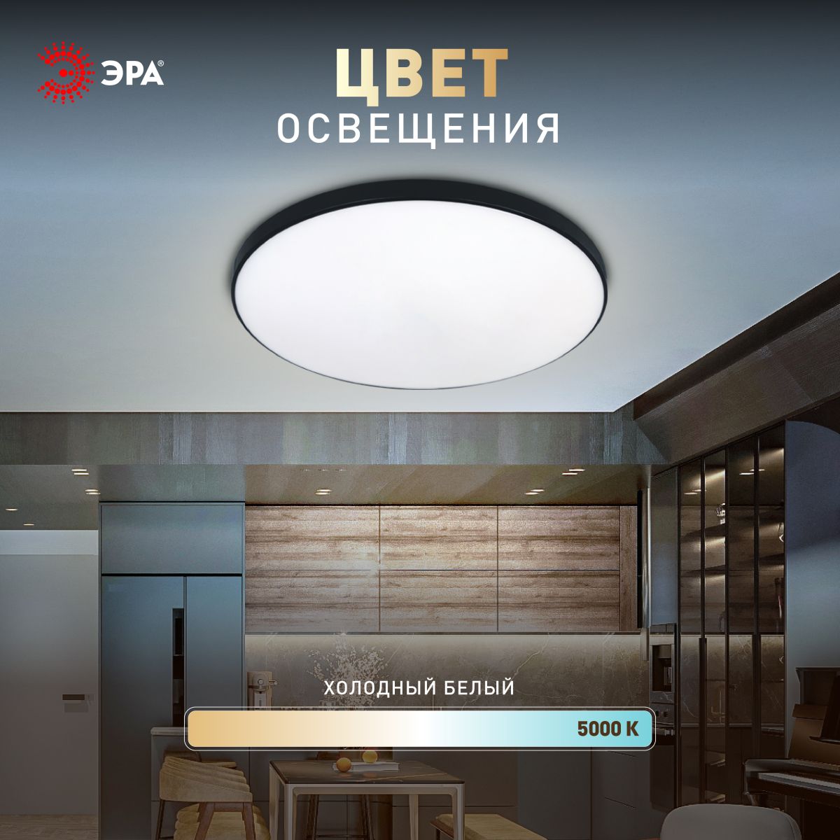 Потолочный светильник Эра Классик без ДУ SPB-6 BK 36W-5K Slim Base