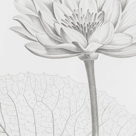 Панно Ortograf 34156 Water Lilies