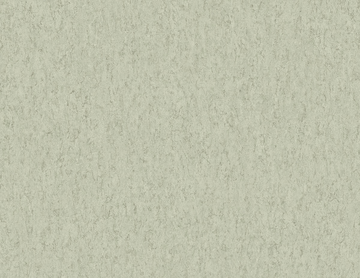 RC10015