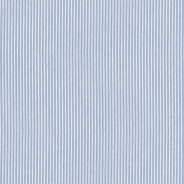 PP35509
