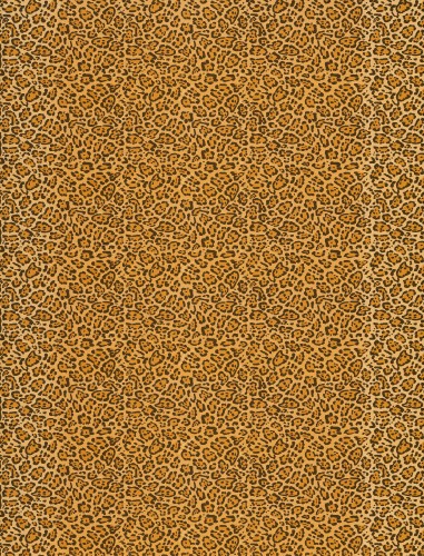 LEOPARDO