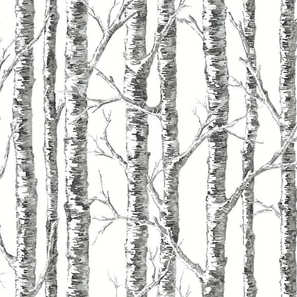 Обои York BW3902 Paper Birch Black/White