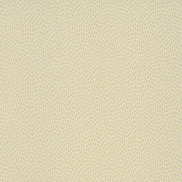 Обои Paint & Paper Library 0360SEWILLO Seedpod Willow V