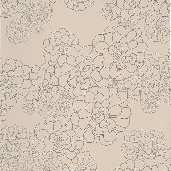 Обои Paint & Paper Library 0393AETEMPL Aeonium Temple